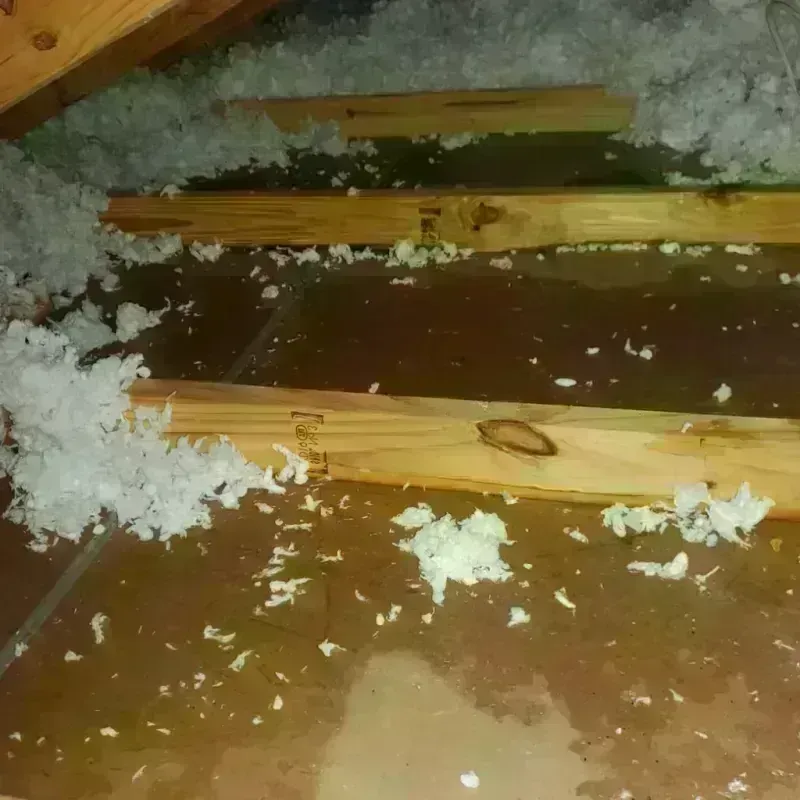 Attic Water Damage in Fairway, KS